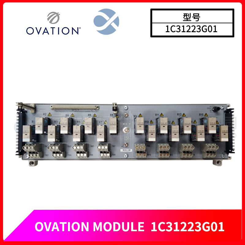 1C31223G01 OVATION 繼電器輸出基本模塊