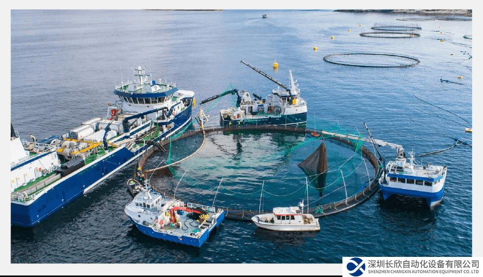 從農(nóng)場到餐桌，ABB解決方案助力全面推動水產(chǎn)養(yǎng)殖業(yè)發(fā)展