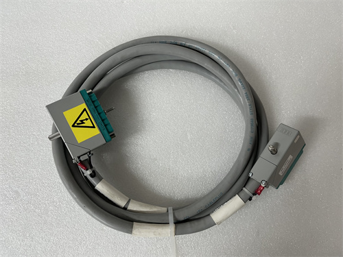 TRICONEX 4000093-110N 