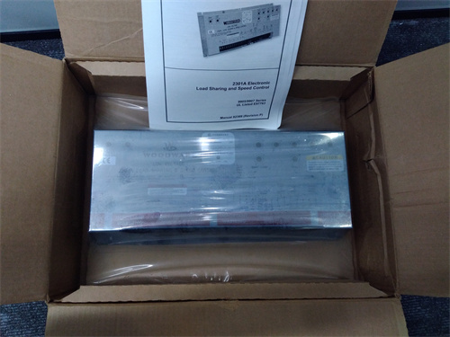 WOODWARD 9907-018 模塊