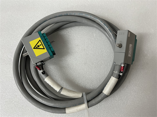 TRICONEX 4000093-110N 電纜