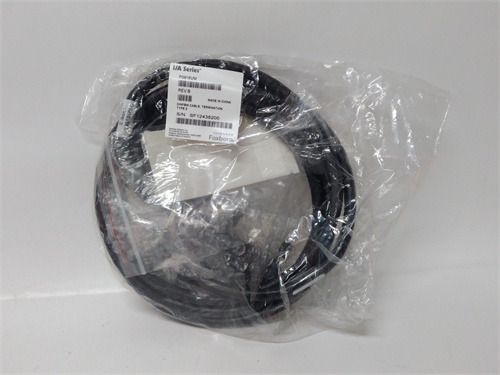 FOXBORO P0916VM 電纜