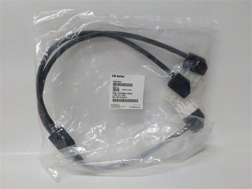 FOXBORO P0923NG 電纜