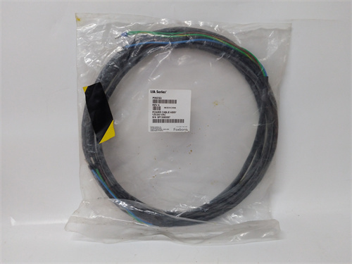 FOXBORO P0923ZJ 電纜