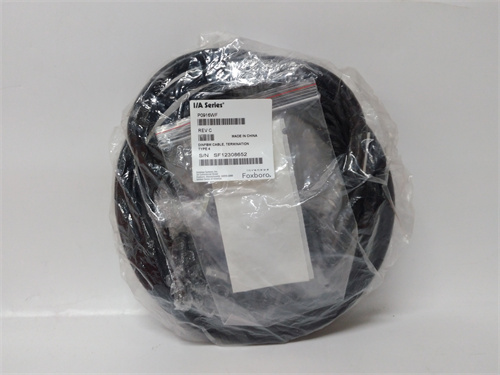 FOXBORO P0916WF 電纜