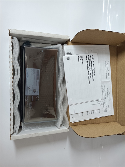 GE IS420ESWBH3A 模塊