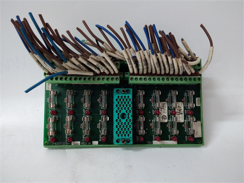 TRICONEX 9662-1 模塊