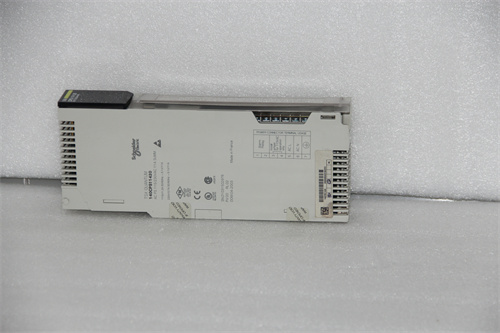 SCHNEIDER 140CPS11420 模塊