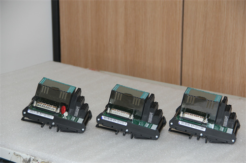 FOXBORO P0917XV 模塊