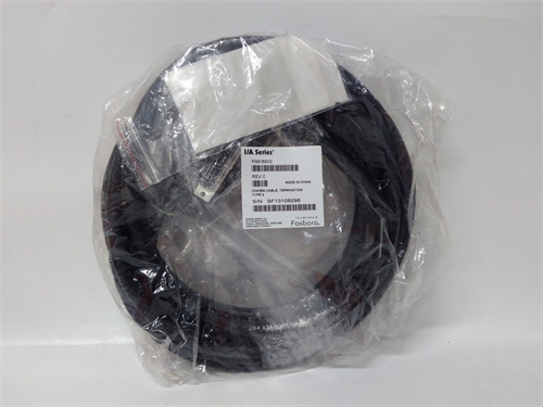 FOXBORO P0916WG 電纜