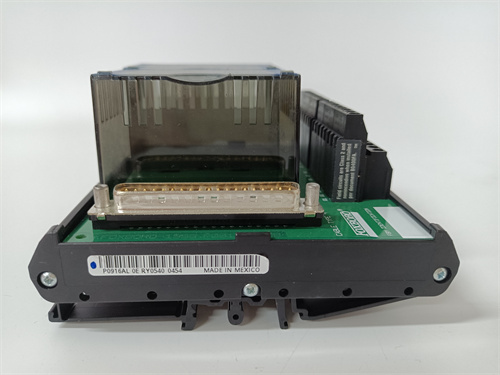 FOXBORO P0916PH P0916AL 模塊