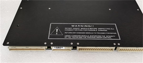 TRICONEX&nbsp;3607E 4.jpg