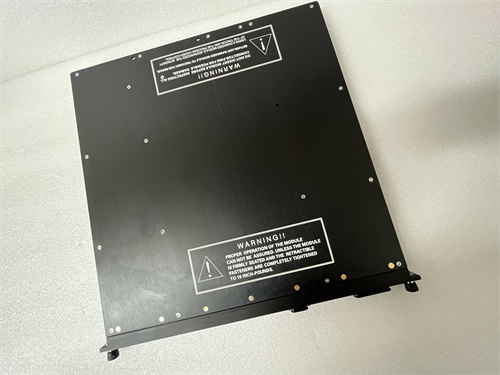 TRICONEX 3501TN2 (2).JPG