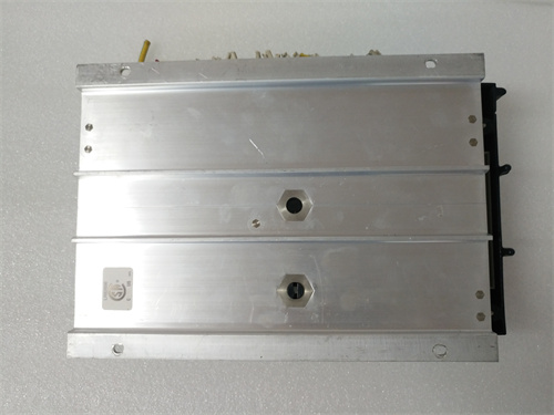 TRICONEX 2301 (3).jpg