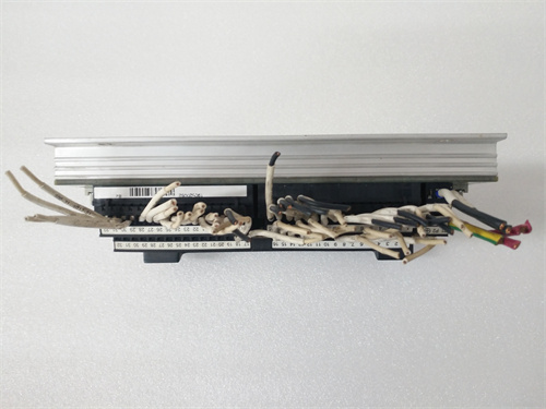 TRICONEX 2351 (2).jpg