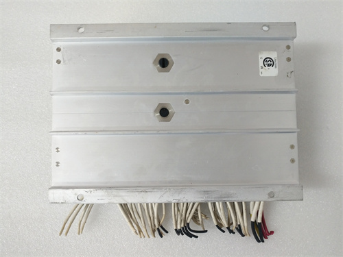 TRICONEX 2351 (3).jpg