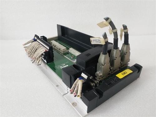 TRICONEX 2401 (2).jpg