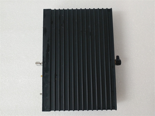 TRICONEX 3101 (2).jpg